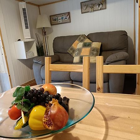 Nonna Lori'S Chalet Pisa Zona Stazione E Aeroporto 외부 사진