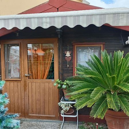 Nonna Lori'S Chalet Pisa Zona Stazione E Aeroporto 외부 사진